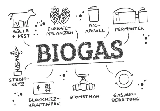 Grafik: Ablauf einer Biogasanlage