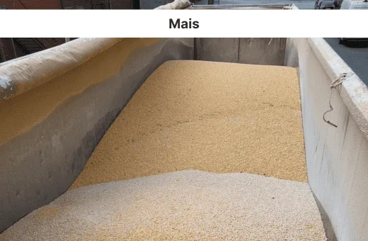 Impression von Restabfallprodukten